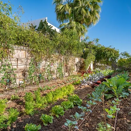 Vila Bendinat 10 - By Priority